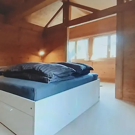 Vakantiehuis Residence Gstaad *